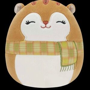 Erin the Squirrel ‘10 inch Squishmallow